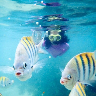 Piscinas naturais do Seixas